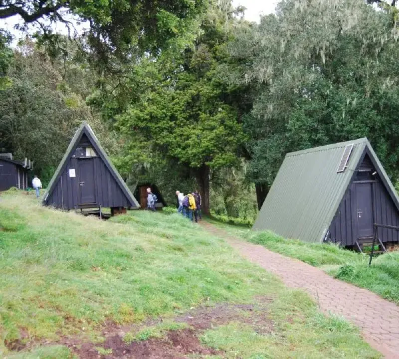 Kilimanjaro Day Hike Marangu Route