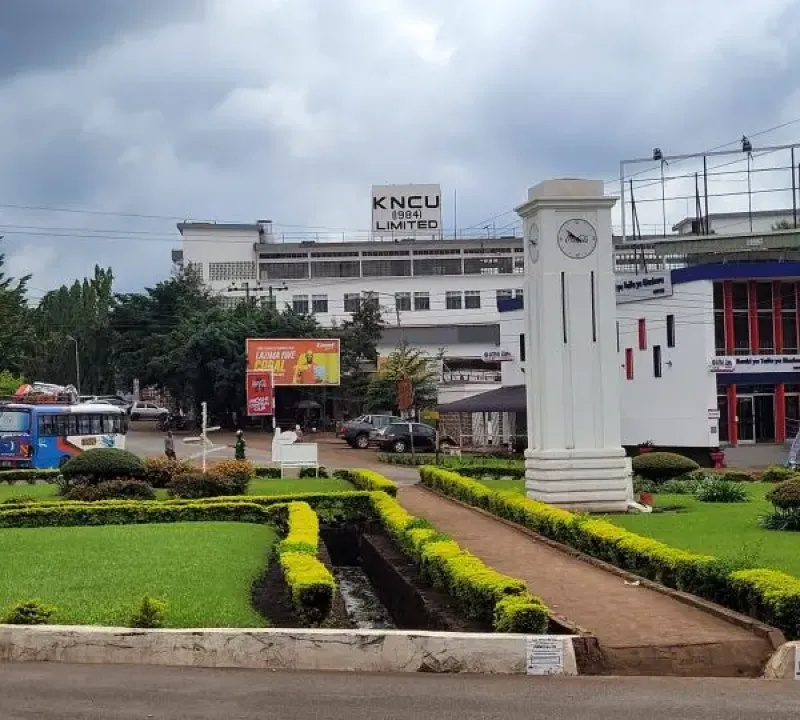 Moshi Walking City Day Trip Tour