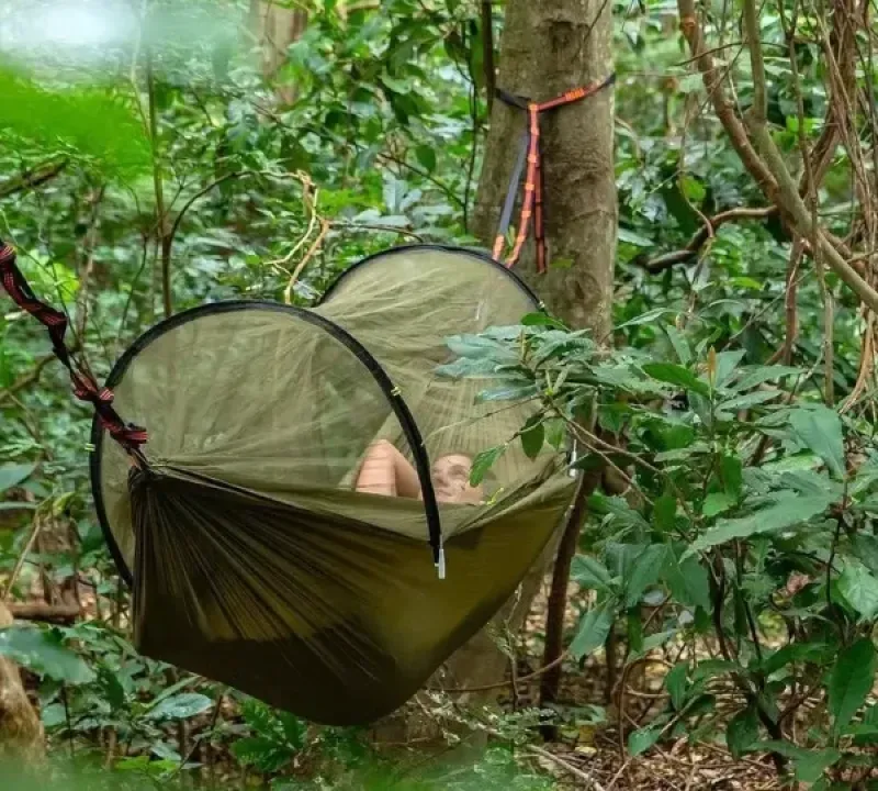 Rau Forest Nature Walk Day Trip